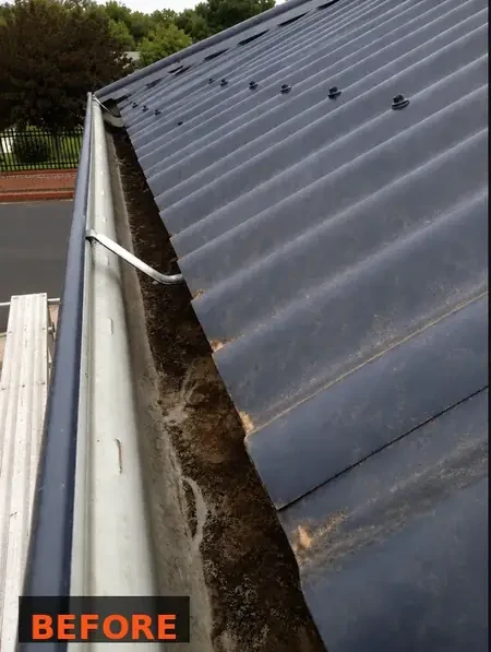 Before gutter guard — clogged gutter with debris