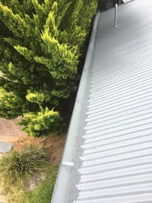 Clean protected gutter beside tree-covered corrugated roof