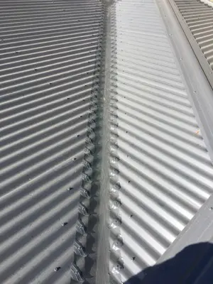 Long corrugated roofline with installed gutter mesh
