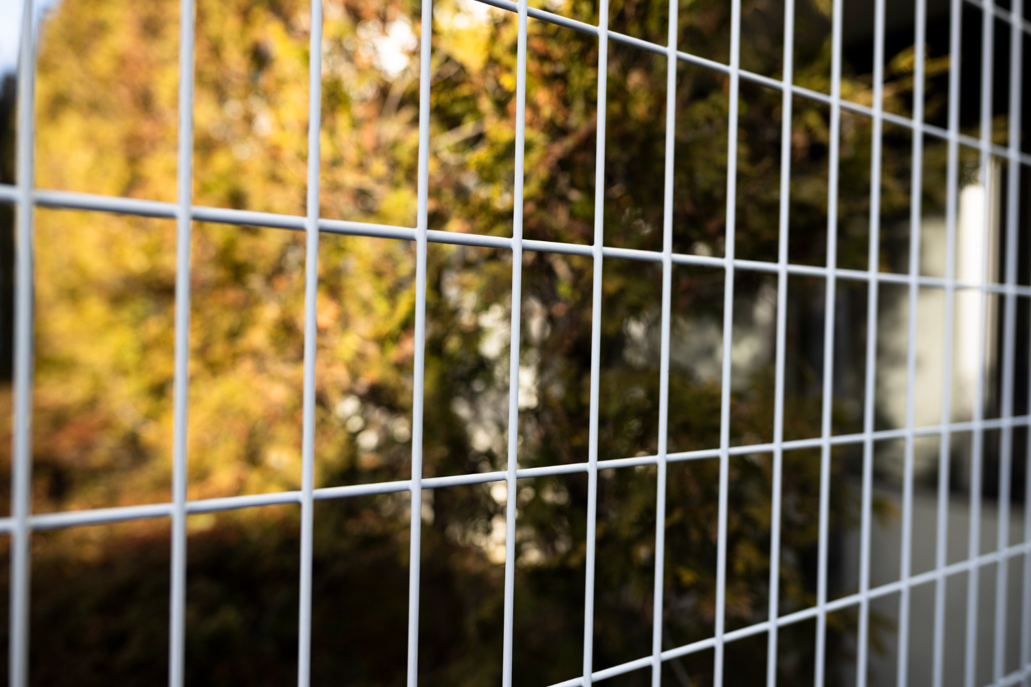 Upgrade Health & Safety Standards With Gutter Mesh