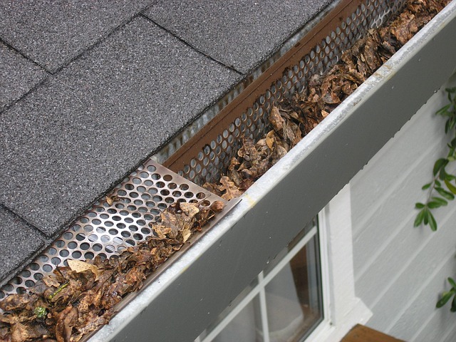 Gutter Mesh In Defense Against Insect-Related Health Issues