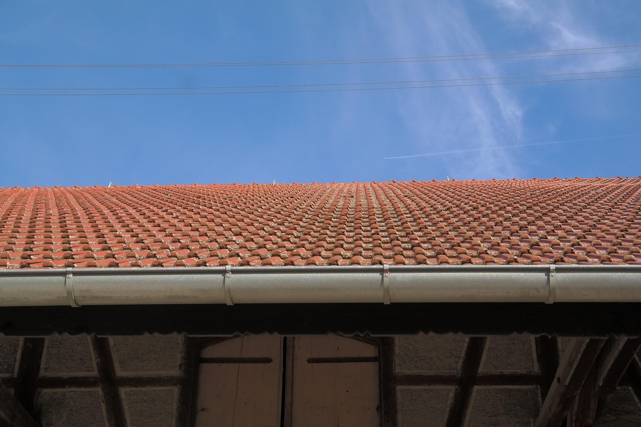 Workplace Productivity Boosts With Gutter Mesh Installation